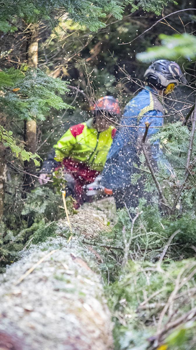 Élagage d'arbres difficiles Puy-de-Dôme