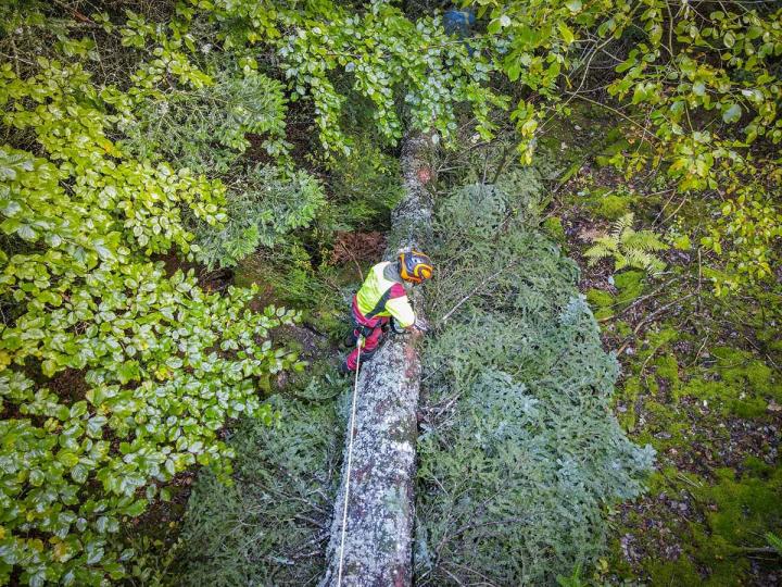 Bûcheron Puy-de-Dôme